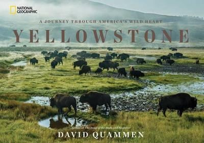Yellowstone - David Quammen (hardback)