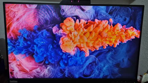 Monitor Thinkvision T24v-10 Voip Cámara Fhd Vga, Hdmi Y Dp (Usado)