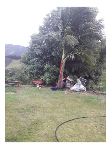 Imagen 5 de 7 de Finca Pequeña En Abejorral.tierra De Aguacate