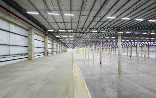 Imagem 4 de 26 de Galpão Para Alugar, 6297 M² Por R$ 170.030,00/mês - Santa Maria - Santa Maria/df - Ga0910