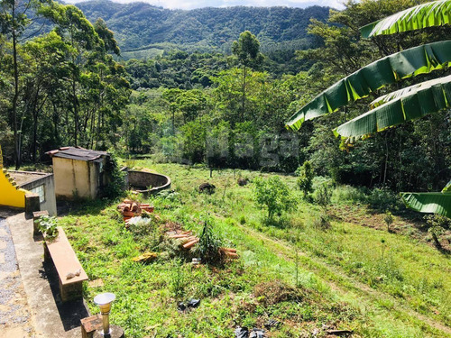 Imagem 30 de 30 de Chácara À Venda Em Canelinha/sc - 1652c