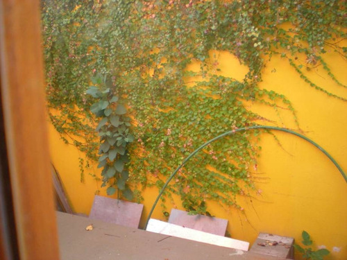 Imagen 3 de 10 de Departamento Tipo Casa En Alquiler En Barrio Parque