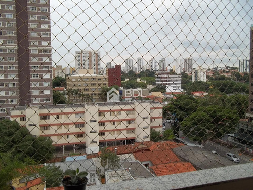 Imagem 4 de 25 de Apartamento À Venda Em Cambuí - Ap002796