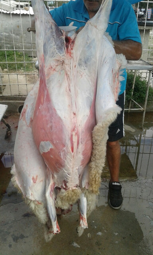 Imagen 3 de 6 de Vendo Lechones A Racion Y Verdura Son Una Manteca