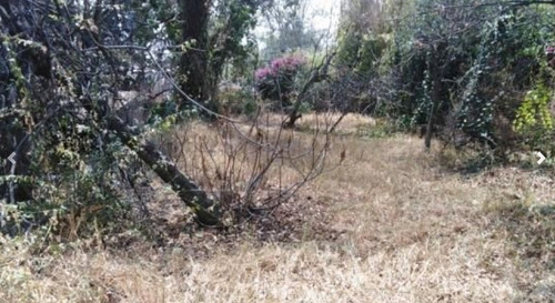 Imagen 7 de 7 de Terreno En Venta En Desierto De Los Leones