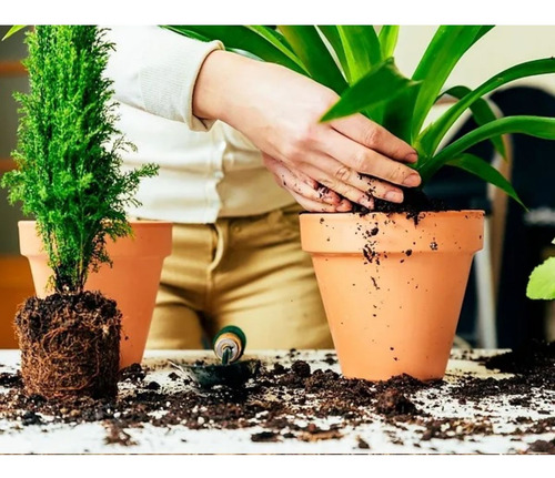 Substrato De Turfa Sphagnum Importada Premium 10 Litros
