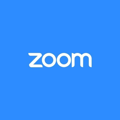 Zoom Pro 1 Año