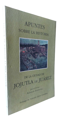 Apuntes Sobre La Historia De Jojutla De Juárez (Usado)