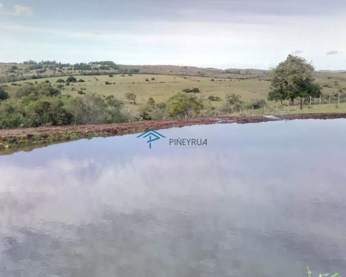Hermosa Chacra Con Arrollo Y 2 Tajamares Pueblo Edén