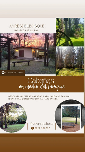 Cabañas Ayres Del Bosque Laguna De Lobos