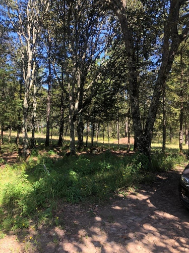 Imagen 4 de 12 de Venta De Terrenos En Amealco De Bonfil, Querétaro