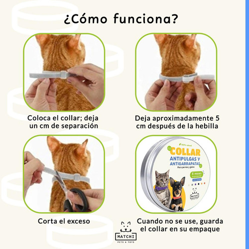 Collar Antipulgas Para Perros Y Gatos Protección De Hasta 8 Lila