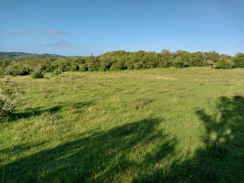 Campo En Lavalleja De 320 Hectareas