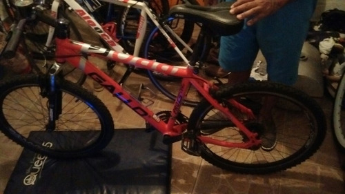Gallo Bike