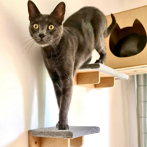 Rascador Para Gatos De Pared Tapizado. Combo Amelie Color Gris