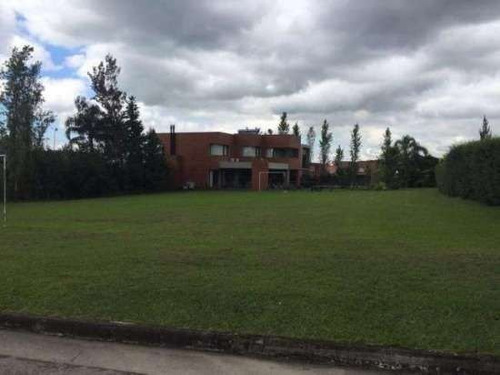 Imagen 4 de 7 de Lote | Yerba Buena