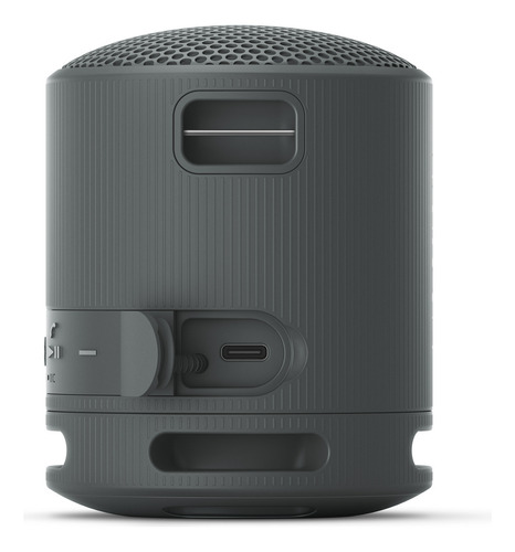 Parlante Inalámbrico Portátil Sony Xb100 Color Negro Negro