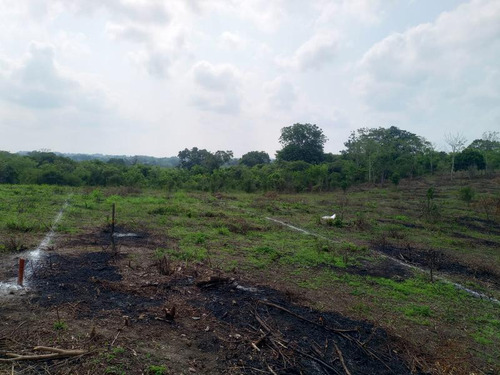 Venta De Terrenos Colonia Altamira Tuxpan Veracruz.