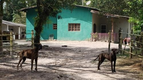 Imagem 1 de 14 de Chácara No Jd. São Fernando Em Itanhaém ,confira!! 8528