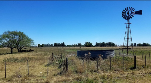 Vendo O Permuto Chacra De 2 Hectareas A 40 Minutos De Tandil