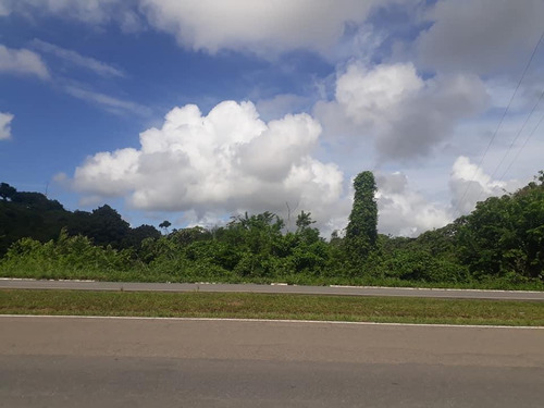 Imagem 8 de 10 de Área Em Centro, Cabo De Santo Agostinho/pe De 21000m² Para Locação R$ 3.000,00/mes - Ar562808-r