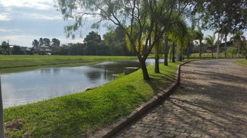 Terreno Em Belém Novo - Lu268245