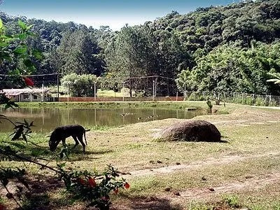 Chácaras Estr. Velha São Roque 30kmsp Final De Semana R$990,