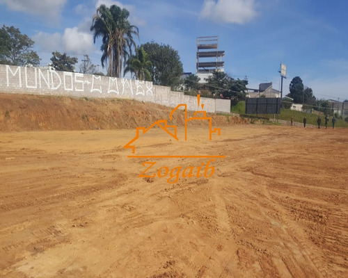 Imagem 5 de 8 de Terreno - Te00052 - 33105751