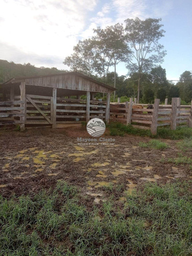 Imagem 5 de 9 de Venda Sítio Machadinho D'oeste Em Rondônia - Sia348