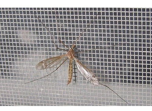 Tela Mosquiteira 1,00 X 1,00 Metros Branco Oferta