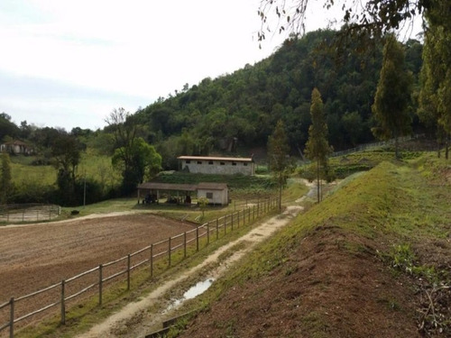 Imagem 5 de 20 de Haras À Venda, 77000 M² Por R$ 1.710.000,00 - Castelo Branco - Sorocaba/sp - Ha0001 - 67639931
