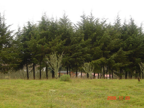 Venta De Lotes Campestres Sin Enganche Todas Las Medidas