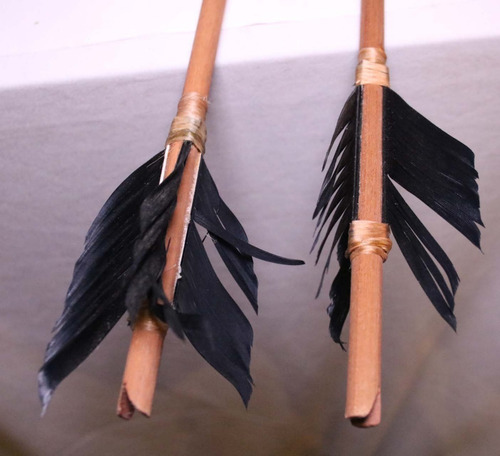 Arco E Flechas Indigena Índios Navajos Antigo 2001 (Usado)