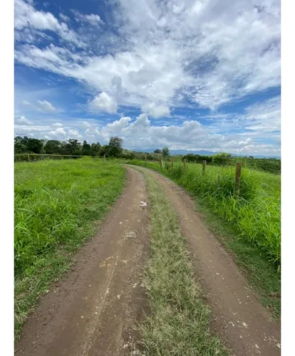 Venta Lotes En Quimbaya Quindío - Colombia Cod: 7439383