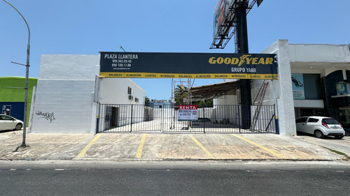 Local En Renta Sobre Circuito Colonias | Tanlum Mérida, Yucatán