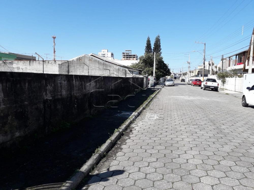 Imagem 6 de 10 de Terrenos - Ref: V722