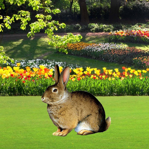 Estaca De Jardín, Estaca De Animales Realista, Práctica, A