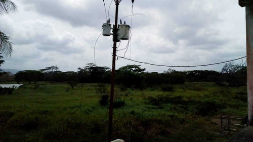 Imagen 11 de 15 de Finca En La Alegría En Yaracal Cerca De Tucacas