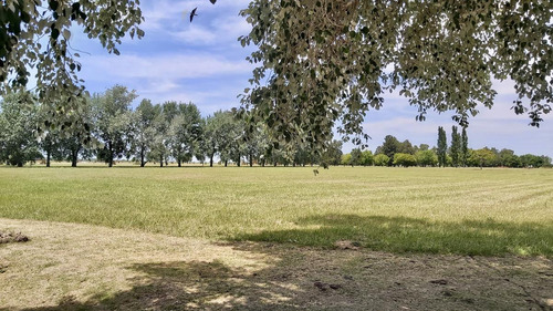 Venta Terrenos En La Federala Club De Campo Lobos- Promoción