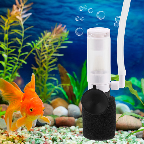 Mini Acuario Con Filtro De Pecera Práctico 3 En 1