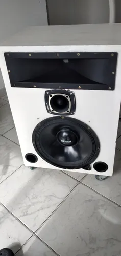 Vendo 2 Parlantes Sonido Profecional 800 Wl