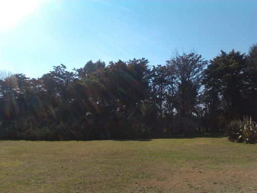 Imagen 18 de 27 de Quinta En Venta - 5 Dormitorios 3 Baños - 396mts2 - Mar Del Plata