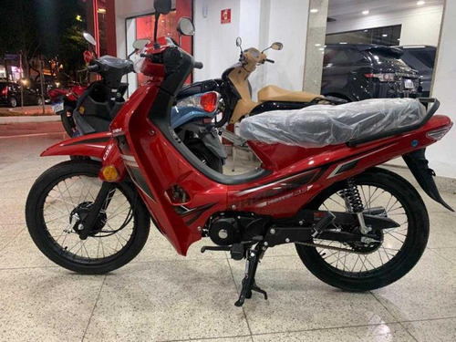 Moto Shineray Phoenix 50 Ano 2024/24