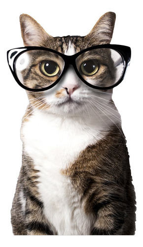 Adherible Cling Para Vetanas Gato Colorbok Automovil Calcoma