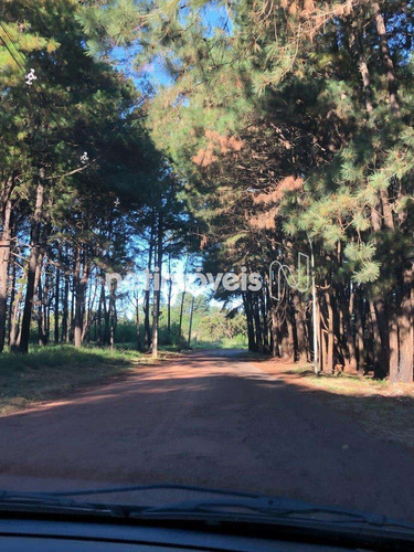 Imagem 2 de 9 de Venda Chácara Paranoá Brasília - 791131