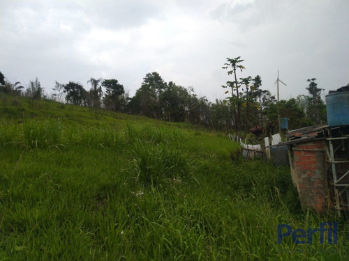 Imagem 2 de 4 de Terrenos - Urbano - 2480