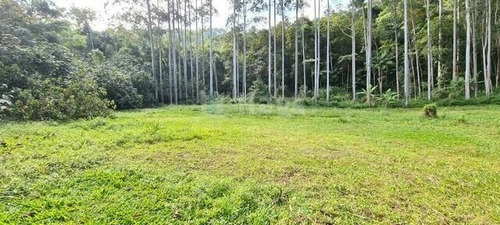 Imagem 21 de 25 de Chácara À Venda No Bairro Moura - Canelinha/sc - 1926c