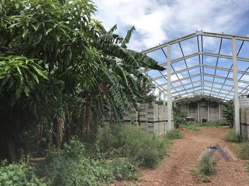 Imagem 2 de 9 de Terreno À Venda, 1025 M² Por R$ 1.200.000,00 - Bandeirantes - Londrina/pr - Te0185