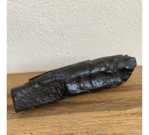 1 Diente De Ballena Cetaceo Auténtico Piedra Fosil Antiguo