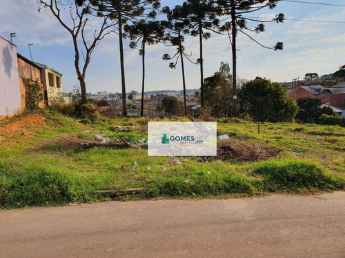Imagem 1 de 7 de Terreno À Venda, 2150 M² Por R$ 850.000,00 - Gralha Azul - Fazenda Rio Grande/pr - Te0035
